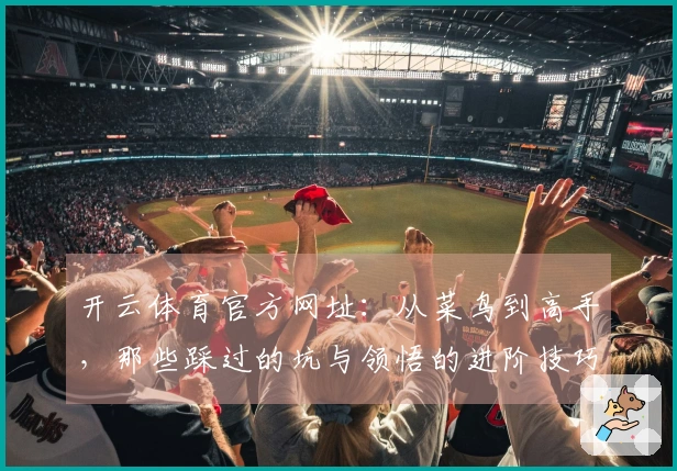 开云体育官方网址：从菜鸟到高手，那些踩过的坑与领悟的进阶技巧